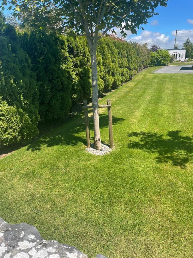 Garden Chalet Oranmore Apartment กัลเวย์ ภายนอก รูปภาพ
